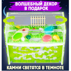 Мурашина ферма  «Зелений листок»  17*9*15 см