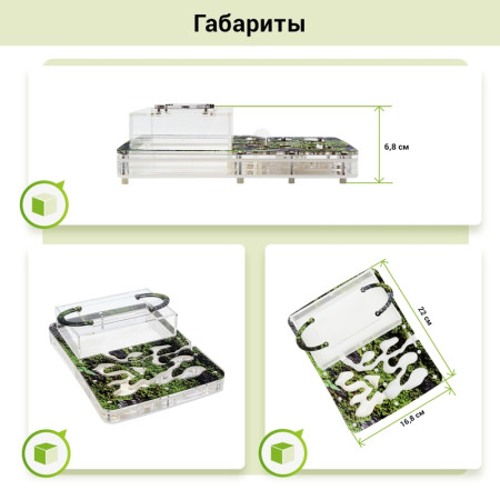 Мурашина ферма міні  «Гірський мох», формікарій 22*17*6,5 см