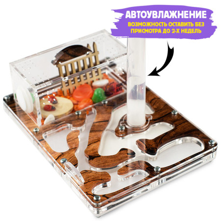 Мурашина ферма Smart «Дерево»