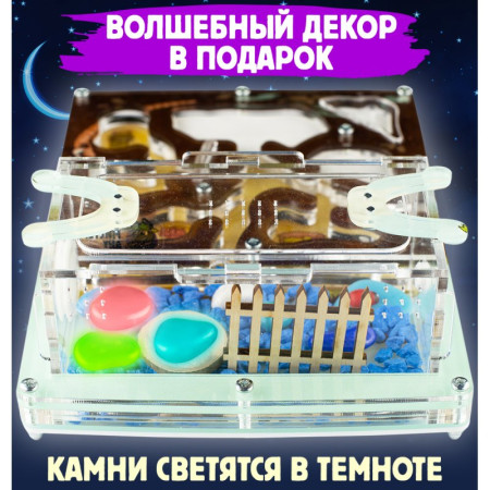 Мурашина ферма, формікарій середнього розміру 14*19*55 см
