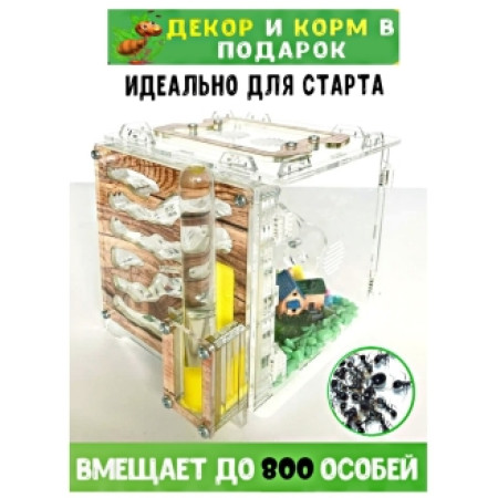 Мурашина ферма 15*15*13см Захопливе заняття для дітей. Колір дерево. Ферма для мурах