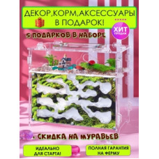 Мурашина ферма 10*15*17 см. Вертикальний мурашиний будинок. Формікарій вертикальний. Захоплююча гра для дітей.