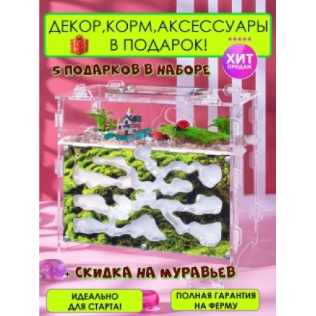 Мурашина ферма 10*15*17 см. Вертикальний мурашиний будинок. Формікарій вертикальний. Захоплююча гра для дітей.