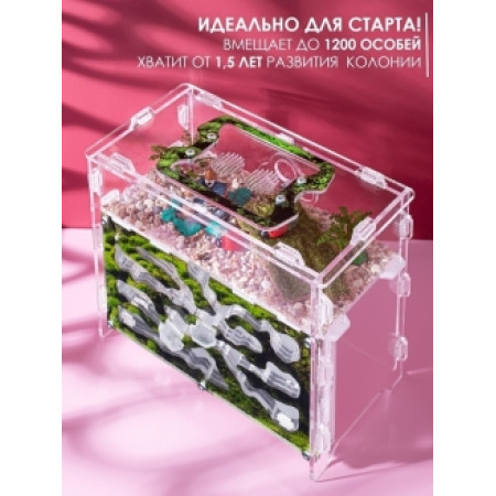 Мурашина ферма 10*15*17 см. Вертикальний мурашиний будинок. Формікарій вертикальний. Захоплююча гра для дітей.