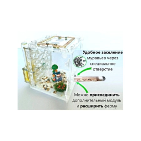 Мурашина ферма 15*15*13см Захопливе заняття для дітей. Колір дерево. Ферма для мурах