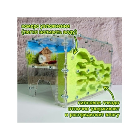 Мурашина ферма, вертикальна 13*11,5 см. Великий комплект. Стартовий комплект. Формікарій